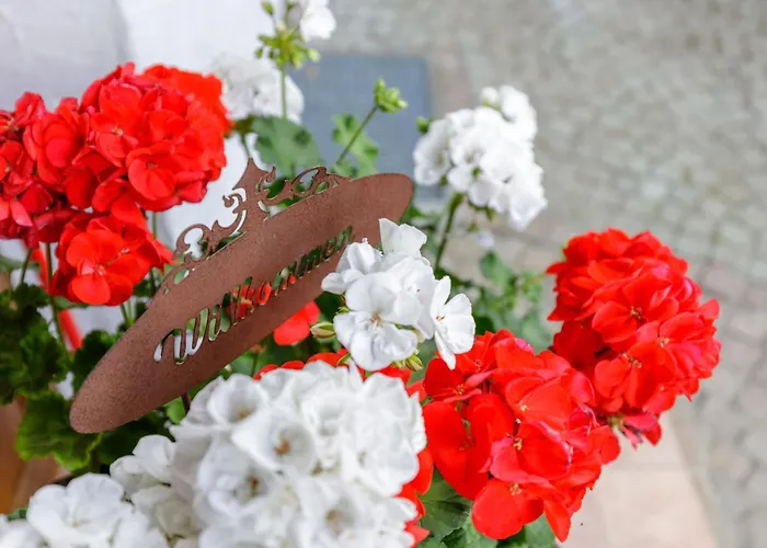 דירה Freigeist נסלוואנג